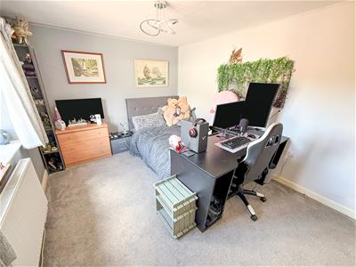 Picture 15